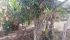 WhatsApp Image 2025-03-11 at 16.17.49 (3).jpeg